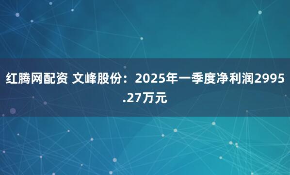红腾网配资 文峰股份：2025年一季度净利润2995.27万元