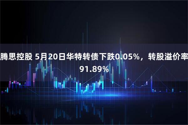 腾思控股 5月20日华特转债下跌0.05%，转股溢价率91.89%