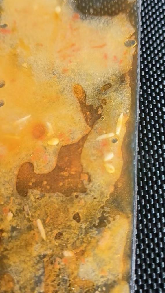 消费者称锅圈食汇火锅底料中有蛆虫 赔偿争议引发关注